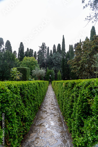 Symmetrical garden pathway lined with manicured hedges and cypress trees