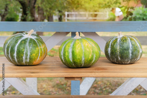 Pumpkins in autumn decor of street cafe. Decorative pumpkins on street table.