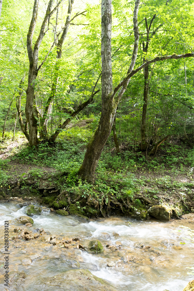 Fototapeta premium summer period - granite canyon of a mountain river, walking along a stone riverbed, rapid flow of water, close-up