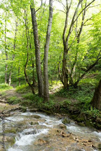 summer period - granite canyon of a mountain river, walking along a stone riverbed, rapid flow of water, close-up