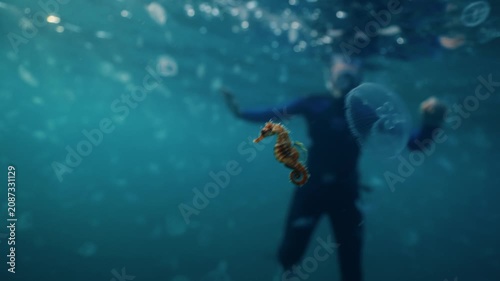 Small seahorse swims through clear blue water in foreground while blurred diver watches from behind, with drifting jelyfish, bright surface glow, soft teal tones, shallow focus, and calm marine