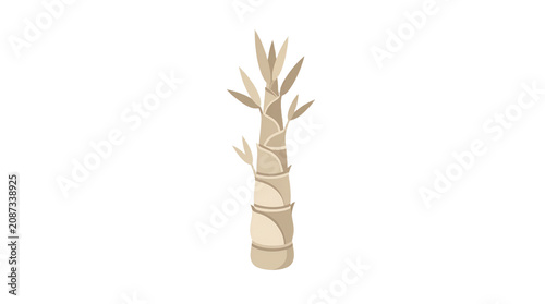 Flat Vector Illustration of a Fresh Bamboo Shoot Sprout Isolated on White Background for Asian Food Design Concepts