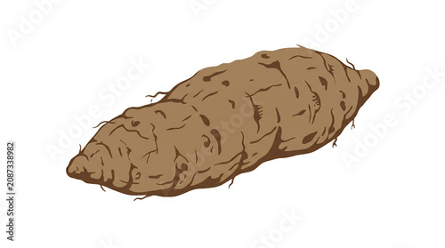 Hand Drawn Brown Sweet Potato or Yam Root Vegetable Illustration Sketch Isolated on White Background for Food Design