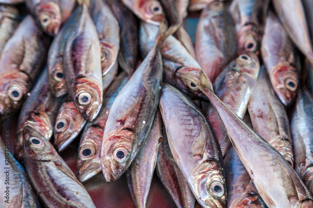 Obraz premium Fresh Lampuki fish packed on crushed ice at the famous Marsaxlokk fish market in Malta, showing their vivid pink and silver hues