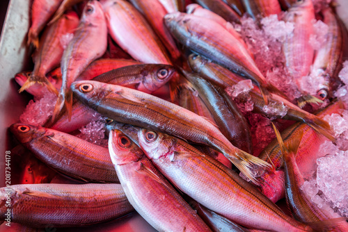 Fresh Lampuki fish packed on crushed ice at the famous Marsaxlokk fish market in Malta, showing their vivid pink and silver hues