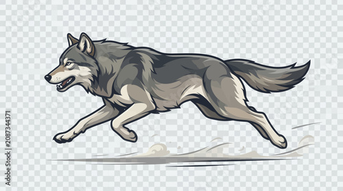 Obraz na płótnie Wolf Running Fast Grey Animal.