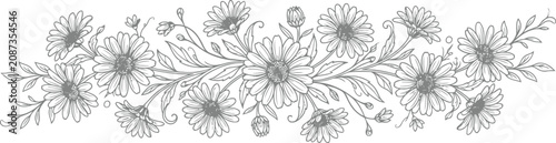 Photos Vintage floral border vector, hand drawn daisy wildflower bouquet, botanical lin