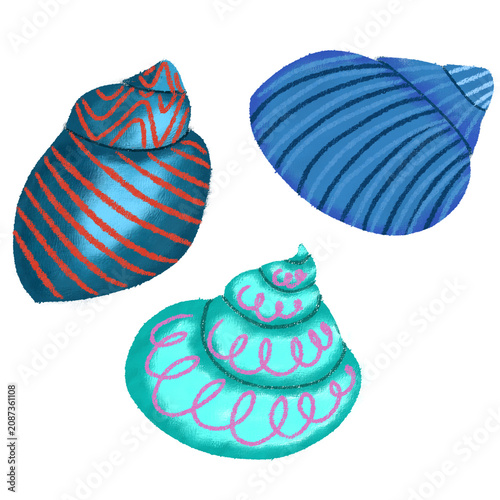 Three colorful seashell doodles summer theme.