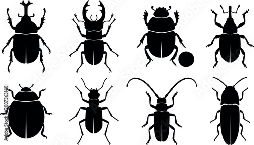 Foto Set of various beetle insect silhouettes isolated on white background for entomo