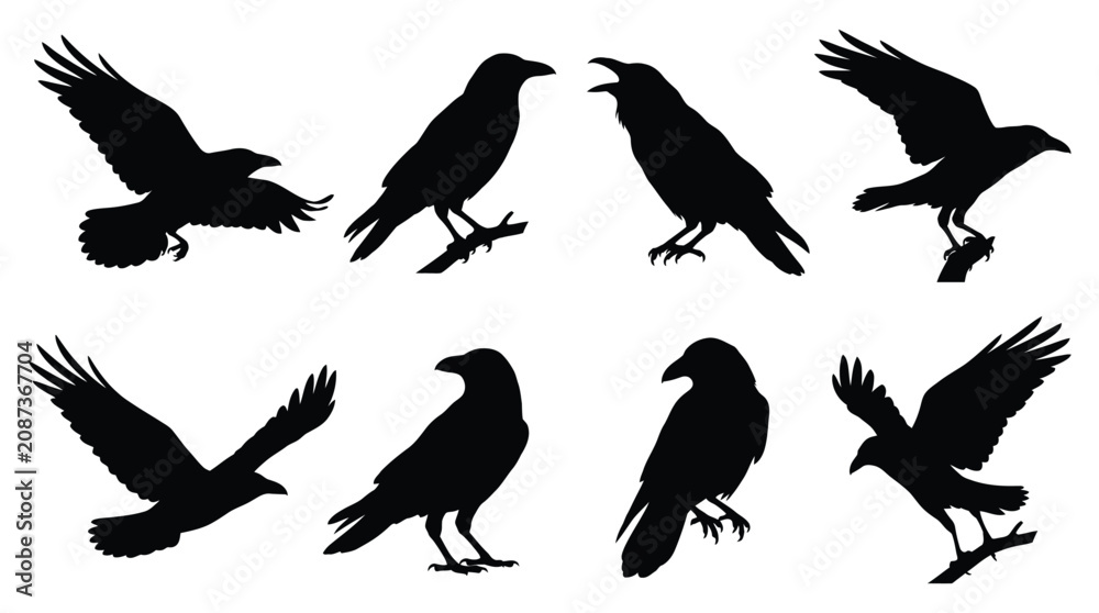 Naklejka premium Raven Silhouettes In Various Poses Black Vector Illustration On White Background