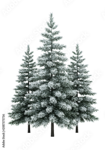 Three stylized, photorealistic fir trees heavily coated in thick snow and hoarfrost, sharp focus, isolated on a transparent background with high-key lighting, concept of conceptual holiday art