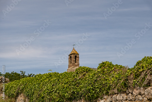 A lush green hedge fills the foreground in sharp focus, while a church tower rises softly blurred in the background, adding depth and contrast to the scene.