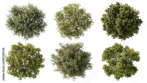 Top-down collection of six green tree canopies photographed from above on a transparent background