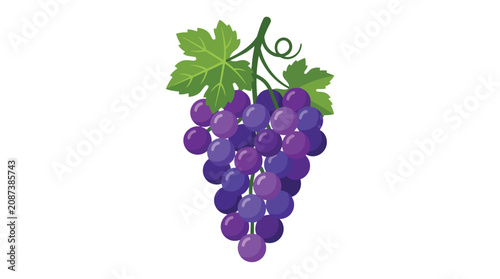Delicious Purple Grape Cluster with Green Leaves and Vine Isolated on White Background for Fruit Market Branding