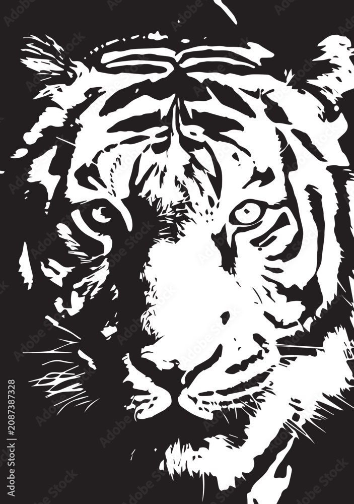 Fototapeta premium vector illustration of a lion