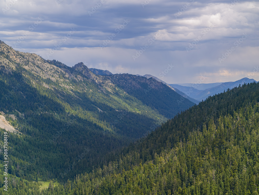 Fototapeta premium Mountain range with pine forest and cloudy sky in Washington