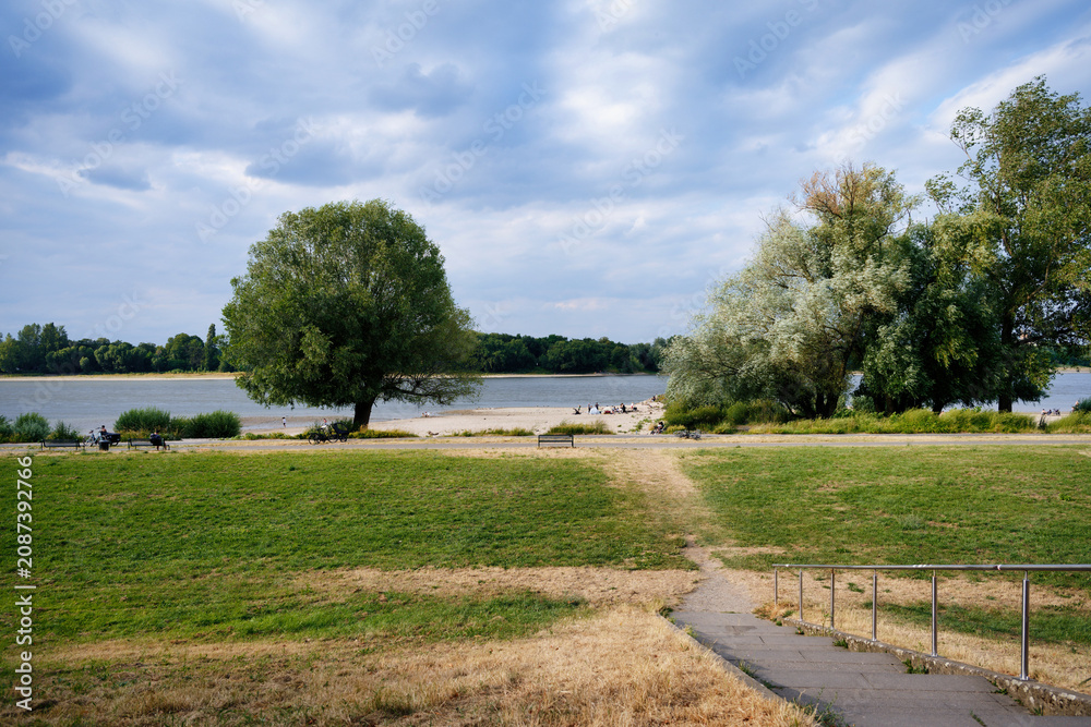 Fototapeta premium Scenic view of the green Rhine meadows, sandy beach, and large trees at the Cologne Riviera in Rodenkirchen, Germany, with stairs in foreground.