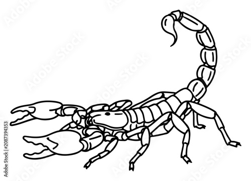 Foto Scorpion with sharp claws and stinger raised minimalist black and white line art