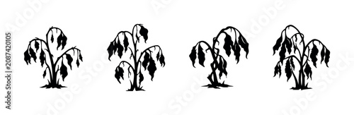 Collection of wilted plants in silhouette, representing drought and decay
