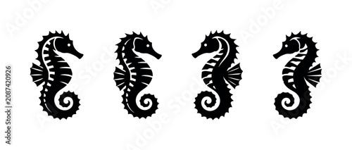 Photos Four black silhouette seahorses in a row on a white background