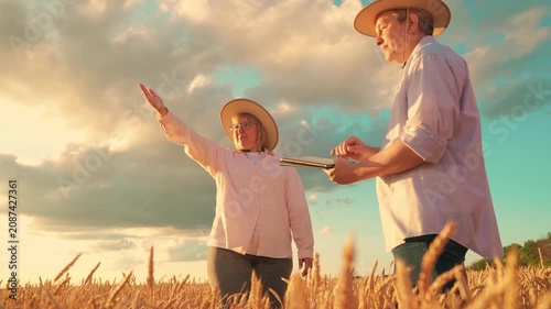 Farmers working in wheat field. Business man, woman, shaking hands in wheat field. Business people working rural. Business partners working together, shaking hands, closing deal. Agricultural harvest
