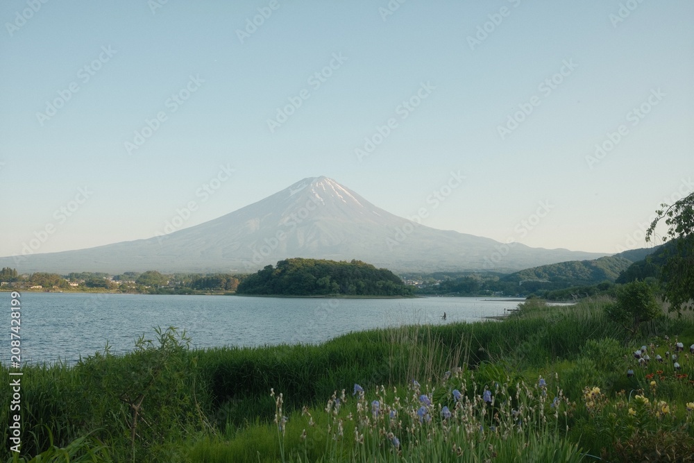 Naklejka premium Mt. Fuji reflected in Lake Kawaguchi with iris flowers in foreground