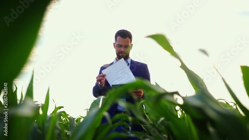 An agronomist checks the growth of corn plants in a wide field. It is bright outside with clear skies. He carries a clipboard and takes notes on the crops.