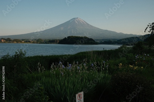 Εκτύπωση καμβά Mt. Fuji over Lake Kawaguchi with irises and a wildflower meadow