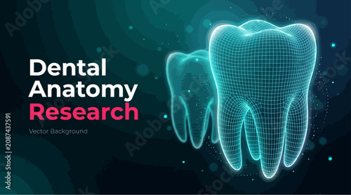 Photos Digital blue wireframe molar tooth anatomy diagram with roots and crown medical