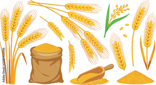 Foto Wheat and grain harvest set featuring golden cereal ears stalks a flour sack scoop and piles for agricultural branding bakery packaging design and organic farming icons