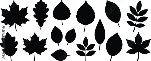 Photos Black silhouette collection of diverse leaf shapes for autumn and botanical desi