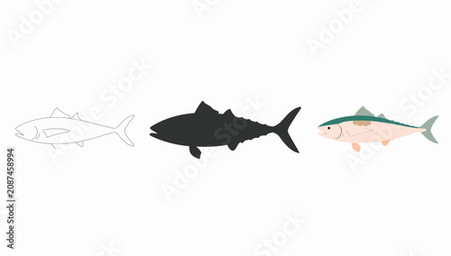 Fotografie Three distinct fish and fishing hook illustrations