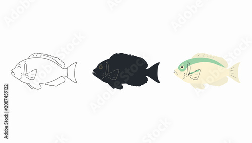Fotografie Three distinct fish species in a simple illustration