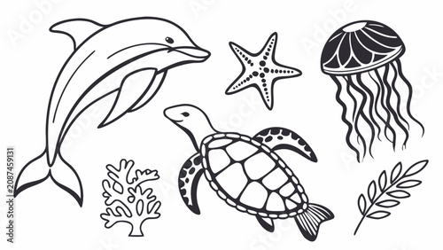 Photography Underwater marine life animals and coral reef line art collection with wildlife