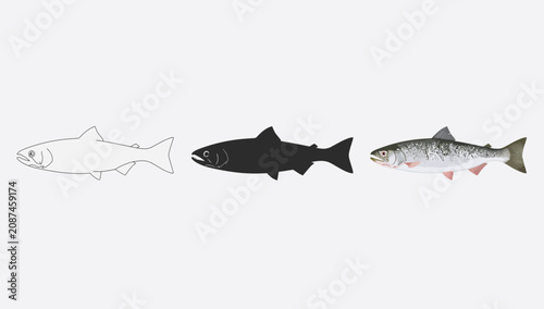 Fényképezés Shark and trout swimming side by side in ocean depths