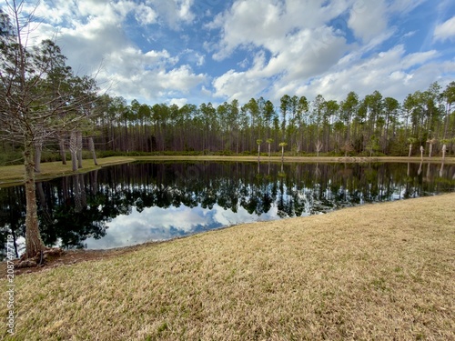 Pond in Floria with palm tree reflections in water 