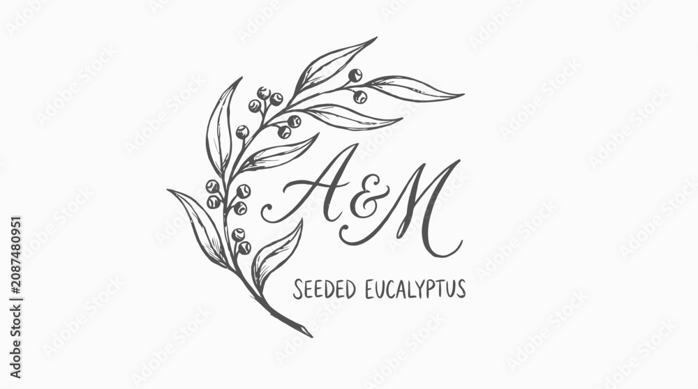Fototapeta premium Elegant Hand Drawn Seeded Eucalyptus Branch Logo Featuring Delicate Green Foliage and Floral Elements for Wedding Stationery, Botanical Herb Illustration for Minimalist Branding Identity