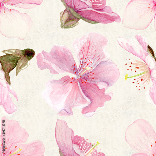 Sakura flowers seamless pattern watercolor, pink tones, hand-painted in natural botanical style isolated on beige background. Perfect for wedding invitations, spring cards, packaging, textile design.
