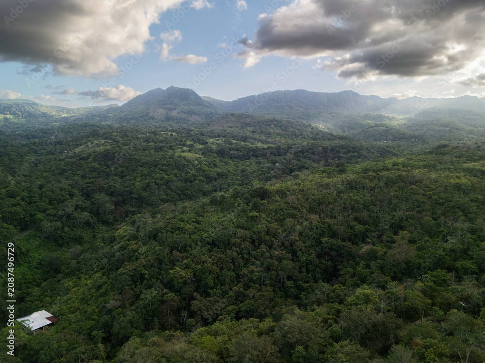 Naklejka premium Mountains and forest view with a building in green landscape