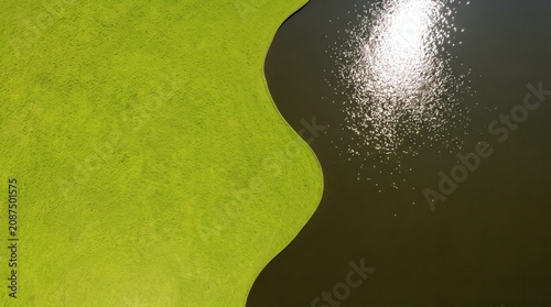 Aerial View of Bright Green Algae Bloom with Sun Reflection on Dark Water Surface