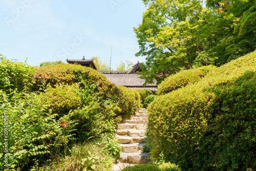path leading to an old Japanese house