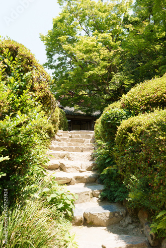 stone path in a Japanese garden