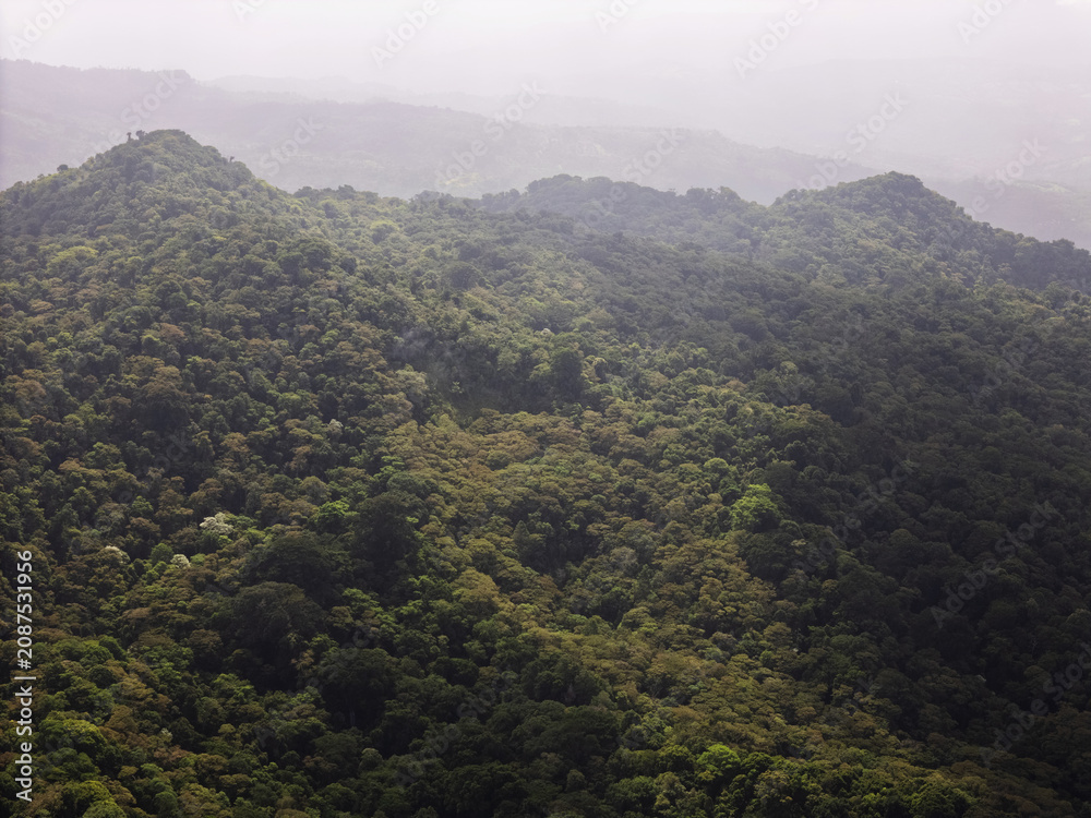 Naklejka premium Mountains covered in green forests during a cloudy day