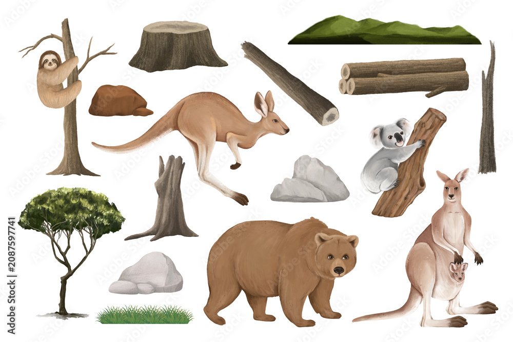Fototapeta premium Wild animals png sticker illustration, transparent background set