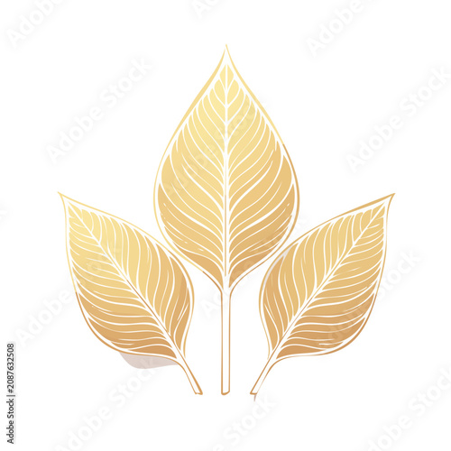 Autumn Leaves Vector Illustration