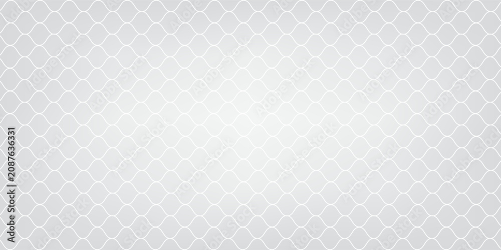 Fototapeta premium White hexagon texture background vector illustration abstract