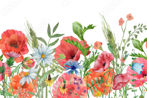 Watercolor Red Poppy and Wildflower Meadow Seamless Border Vector with White Background