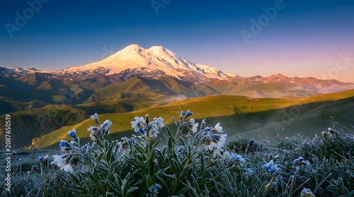 Majestic mount elbrus at sunrise caucasus mountains russia with wildflower meadow foreground
