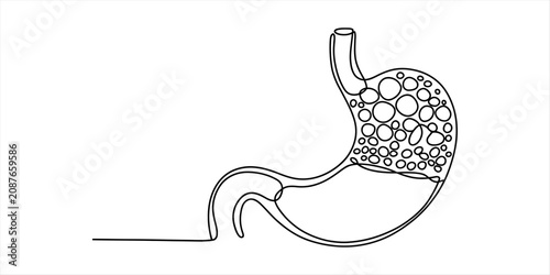 Obraz na płótnie Continuous single line drawing of a human stomach with gas bubbles representing