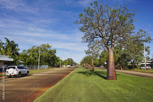 Derby Western Australia, main street lined with boab trees